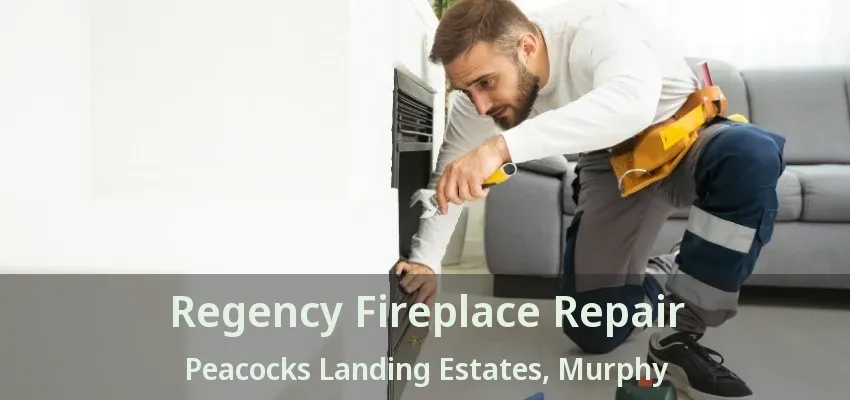 Regency Fireplace Repair Peacocks Landing Estates, Murphy - TX