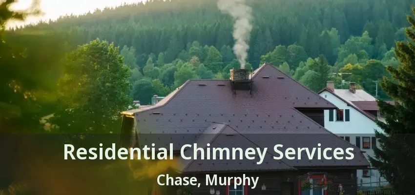 Residential Chimney Services Chase, Murphy - TX
