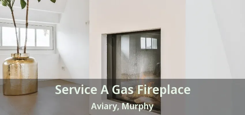 Service A Gas Fireplace Aviary, Murphy - TX