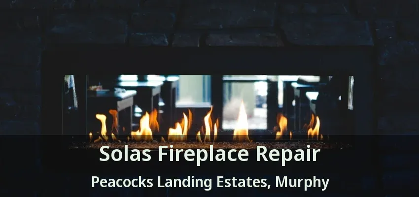 Solas Fireplace Repair Peacocks Landing Estates, Murphy - TX