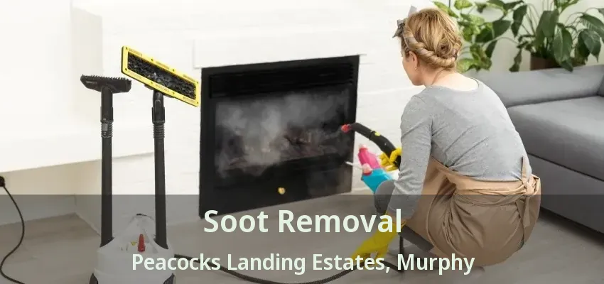 Soot Removal Peacocks Landing Estates, Murphy - TX