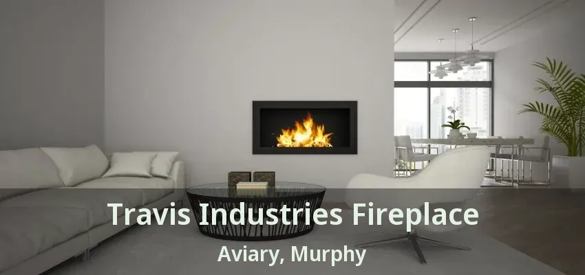Travis Industries Fireplace Aviary, Murphy - TX