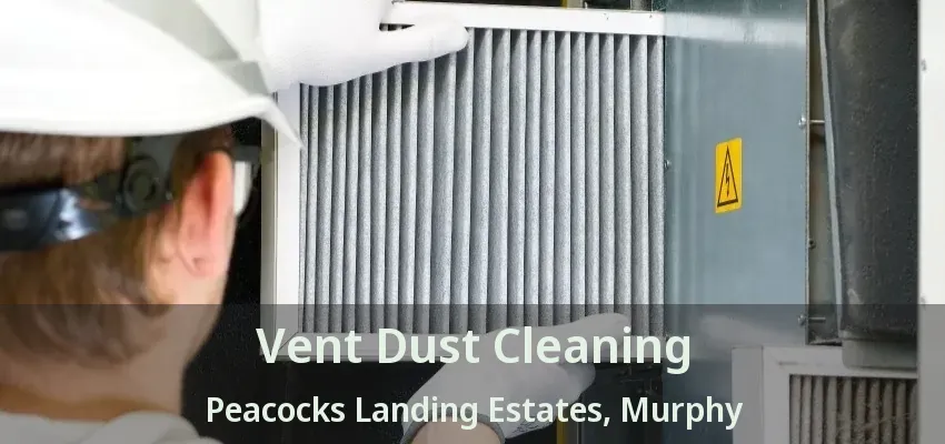Vent Dust Cleaning Peacocks Landing Estates, Murphy - TX