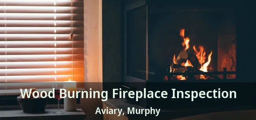 Wood Burning Fireplace Inspection Aviary, Murphy - TX