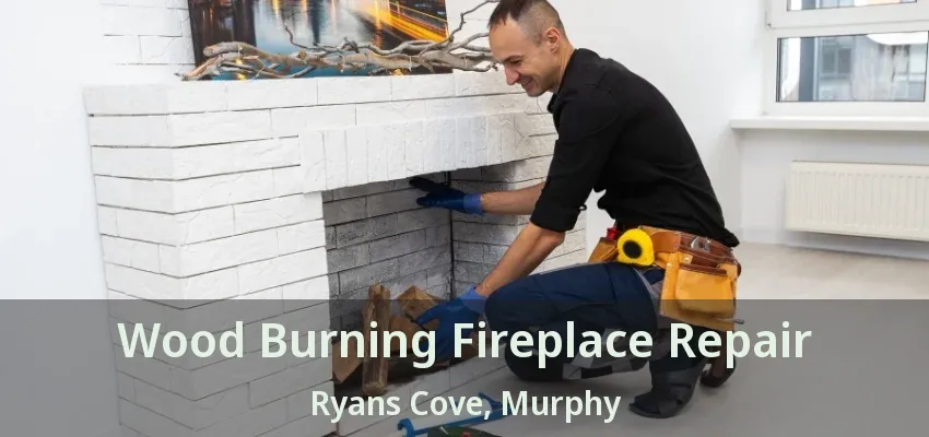 Wood Burning Fireplace Repair Ryans Cove, Murphy - TX