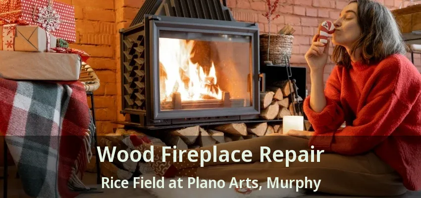 Wood Fireplace Repair Rice Field at Plano Arts, Murphy - TX