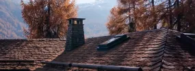 Chimney Animal Removal Murphy