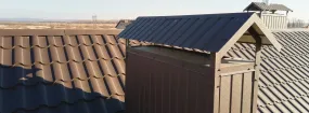 Chimney Cap Services Murphy