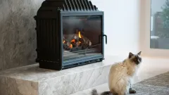 Wood Burning Fireplace Repair Murphy